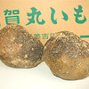 加賀丸芋（石川県自慢の地野菜）