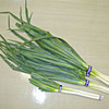 金沢一本太ねぎ（加賀野菜）