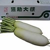 源助大根（加賀野菜）