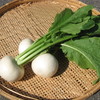 蕪(石川県自慢の地野菜です）