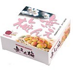 無えん梅（塩分ゼロ）