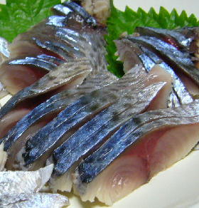 普通の しめ鯖