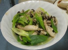 もう一品！『しめじ茸と長ネギのヘルシー炒め』常備菜に…