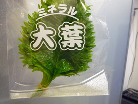 とっても簡単でも長持ち☆大葉の保存