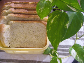 ☆HBで早焼き☆はちみつミルク紅茶葉パン