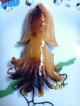 お弁当に☆イカさんウインナー