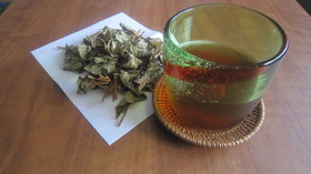 どくだみの花が咲いたら・・・どくだみ茶