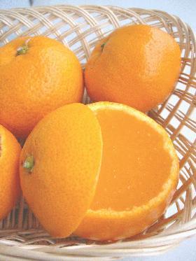 こたつで食べよう☆簡単みかんてん