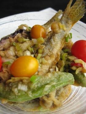 ハゼと夏野菜の揚げびたし　ハゼの天ぷらで