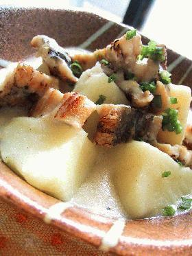 じゃが芋と焼き穴子のクリーム煮。