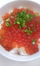 5ddcf4980851ee5279a8fc53755ba685