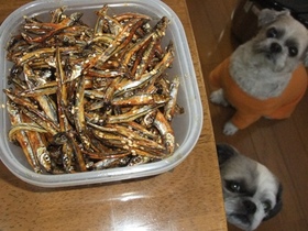 カンタン♪気軽に♪おせちに♪田作り☆