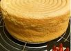 ５号　スポンジケーキ