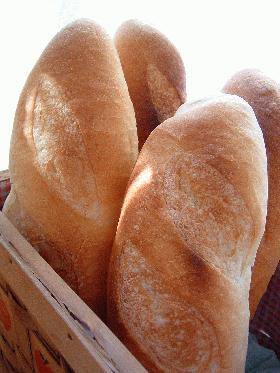 ファーストクラスで行く*伊太~利亜どまりのおフランスパン*