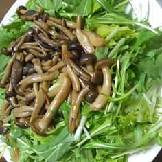 水菜ときのこの簡単サラダ 水菜ときのこの簡単サラダ