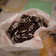 混ぜるだけ簡単サクサクチョコ菓子 混ぜるだけ簡単サクサクチョコ菓子