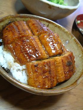 *どんぶり*こってりタレの「うな丼」♪