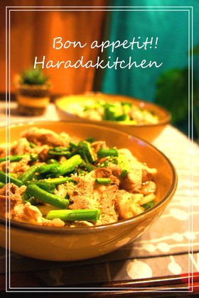ネギどっさり✿深夜の肉うどん✿１０分