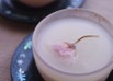 動画de簡単★桜抹茶ムース