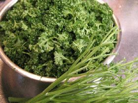 パセリの茎は冷凍保存で完全活用！