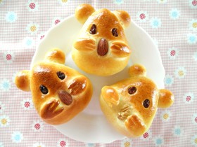 Chinese hamster clearance bread