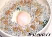 簡単美味しい❤釜揚げしらす丼✿