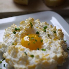 たまごの巣 (Egg Nests)