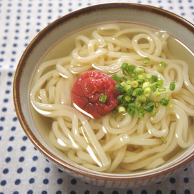 あっさり。梅ころうどん