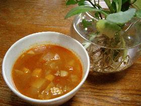 お鍋1つでミネストローネ！！