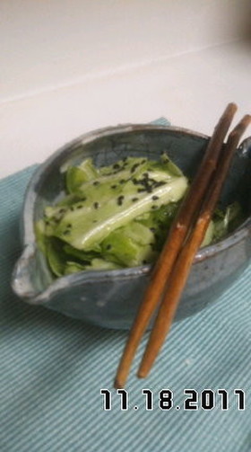 モリモリ食べられちゃう♪塩キャベツ
