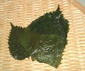 青しその塩漬け
