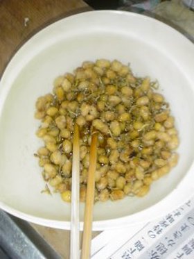 給食レシピPart２　～大豆とちりめんじゃこのゴマがらめ～