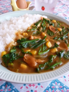 ✤ポパイカレー✤簡単!美味しいよ^^