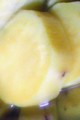 858427f0ef356dc8d5c0c2c2b64a6e07