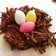 チョコレートネスト チョコレートネスト