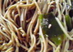 簡単おいしい☆わかめ入り茶そば♪
