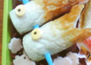 チクワ★DE★鯉のぼり