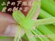 085914e221822d72304ad1e49eca89c8