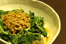 夏バテに!モロヘイヤと納豆の豆腐サラダ