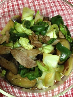 豚肉・ピーマン・なす・キャベツの炒め物