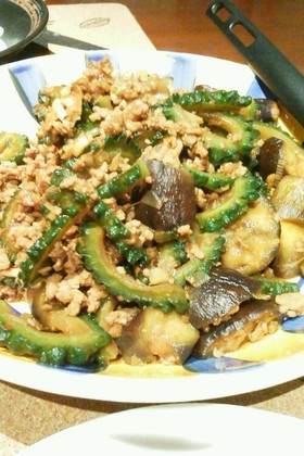麻婆なす&ゴーヤ