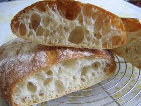 フランスパン♪パネトーネマザー