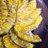 4809d7c5be32a511bd3c42aa886fa987