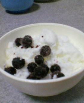 ◎フローズンヨーグルト（低インシュリンダイエット向け）◎