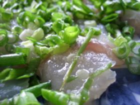 コチの葱塩刺し　胡麻油風味