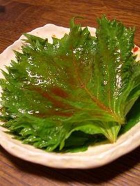 ご飯モリモリ☆青しそのコチュジャン醤油漬け！