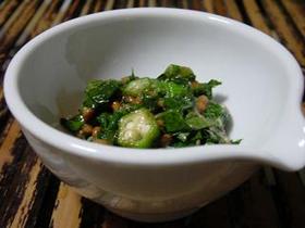 野菜不足解消！モロヘイヤ納豆
