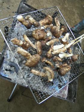 アウトドア料理：松茸の炭火焼き！！！