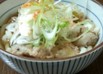 ねぎたっぷり肉うどん