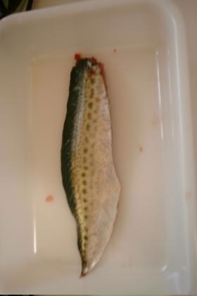 Mei-mei亭☆魚まるごといただきます!その2-サバ-